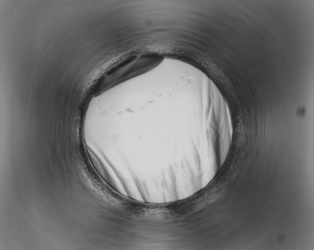 X0000115500446200912041042