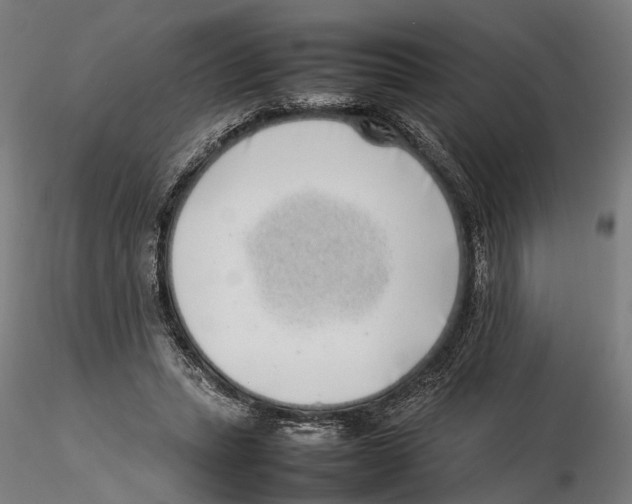 X0000115500447200912041042