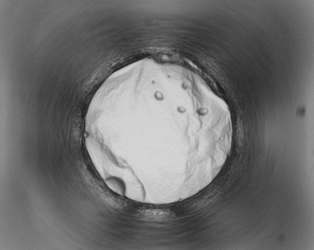 X0000115500449200912041042