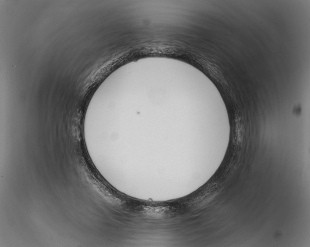 X0000115500450200912041042