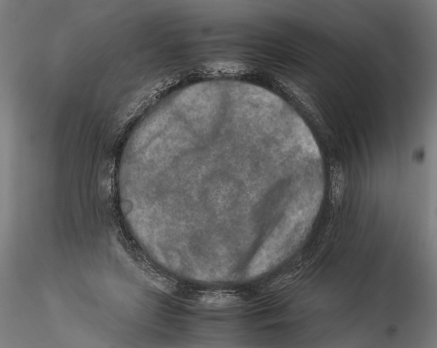 X0000115500451200912041042