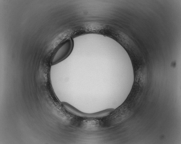 X0000115500452200912041042