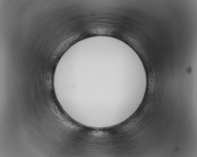 X0000115500453200912041042