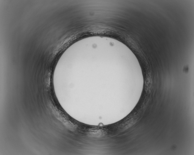 X0000115500454200912041042