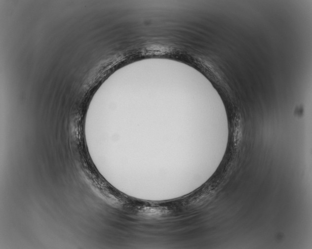 X0000115500455200912041042