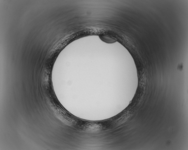 X0000115500456200912041042