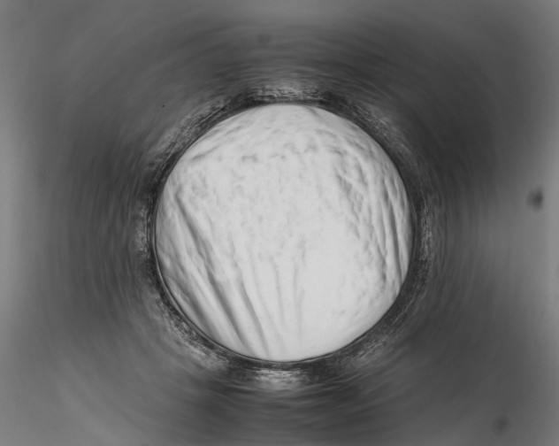 X0000115500457200912041042