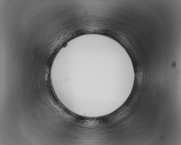 X0000115500458200912041042