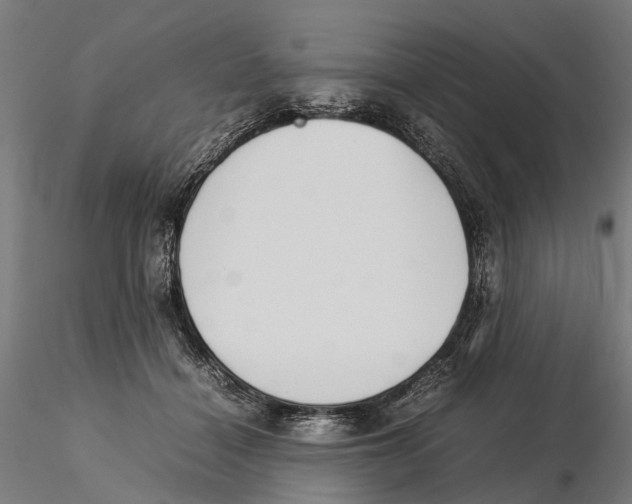 X0000115500460200912041042