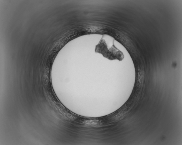 X0000115500461200912041042