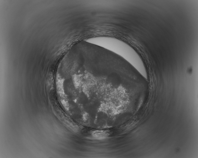 X0000115500465200912041042
