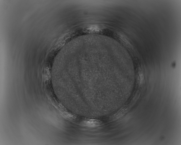 X0000115500467200912041042