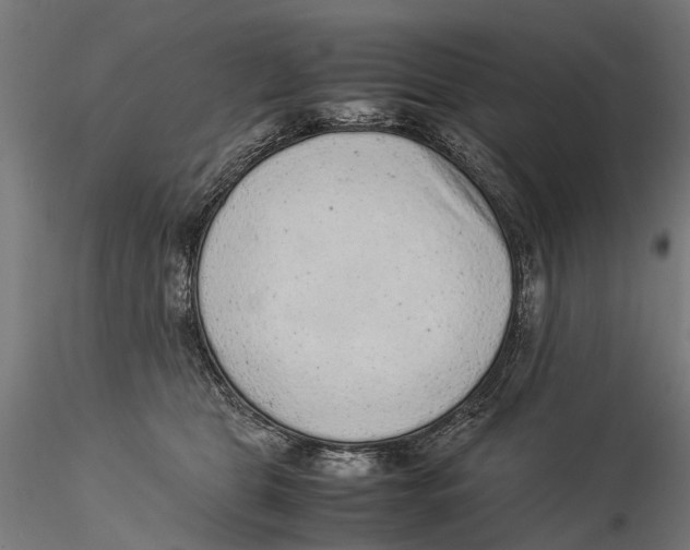 X0000115500469200912041042