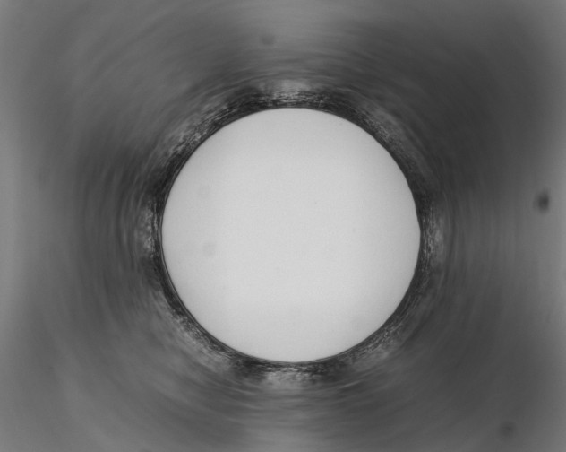 X0000115500470200912041042