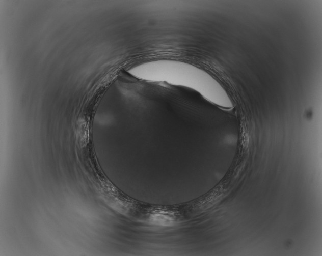 X0000115500471200912041042