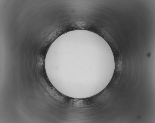 X0000115500472200912041042