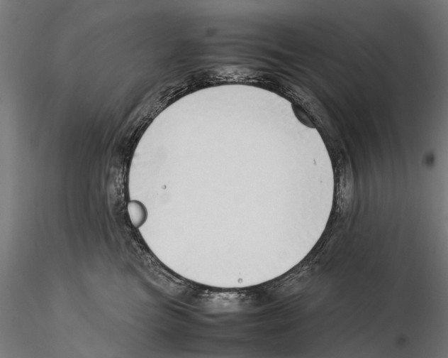 X0000115500473200912041042