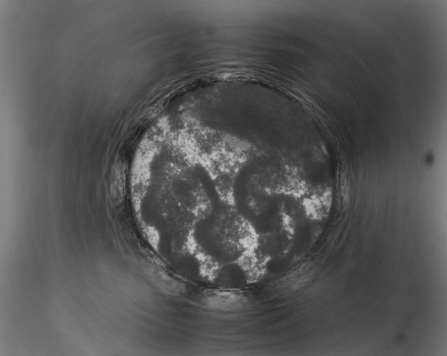 X0000115500475200912041042