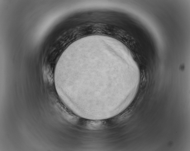 X0000115500479200912041042