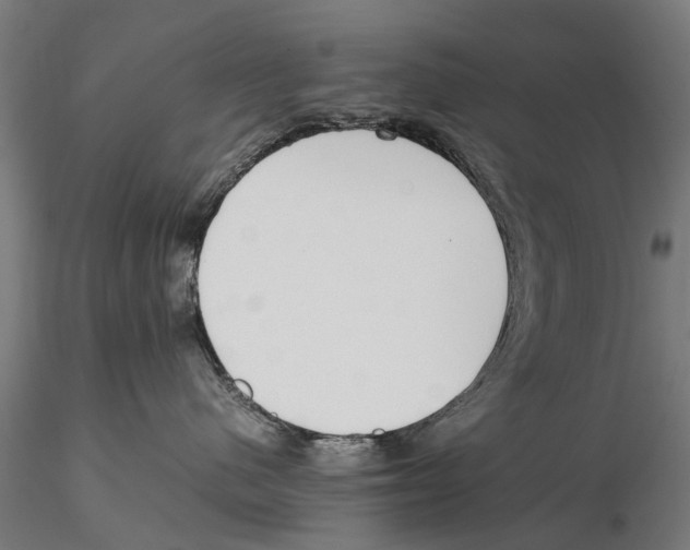 X0000115500480200912041042