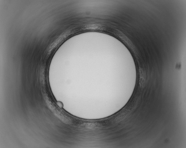 X0000115500482200912041041