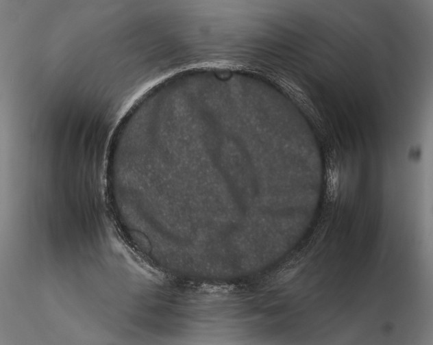 X0000115500484200912041041