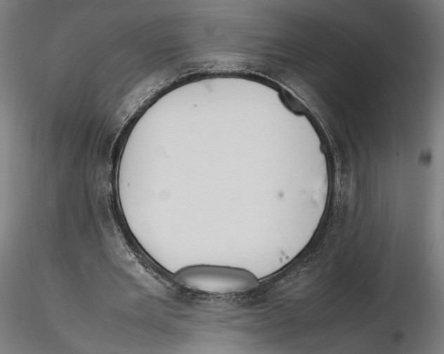 X0000115500485200912041041