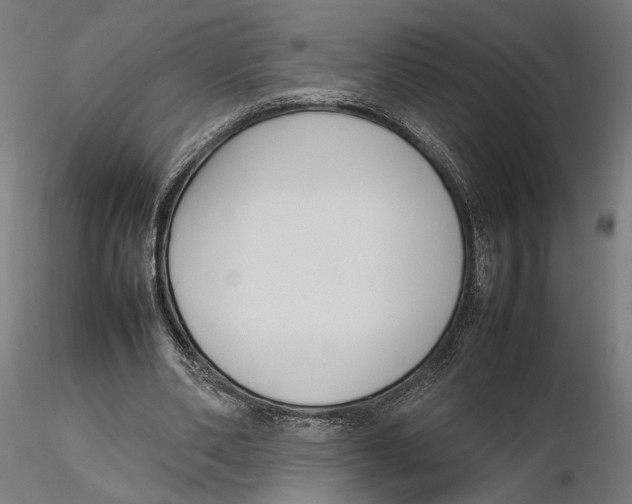 X0000115500486200912041041