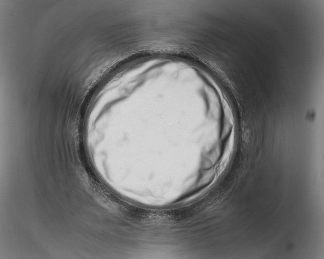 X0000115500487200912041041