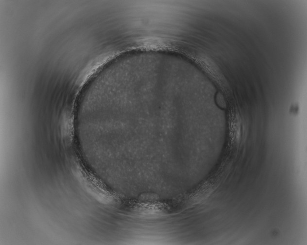 X0000115500488200912041041