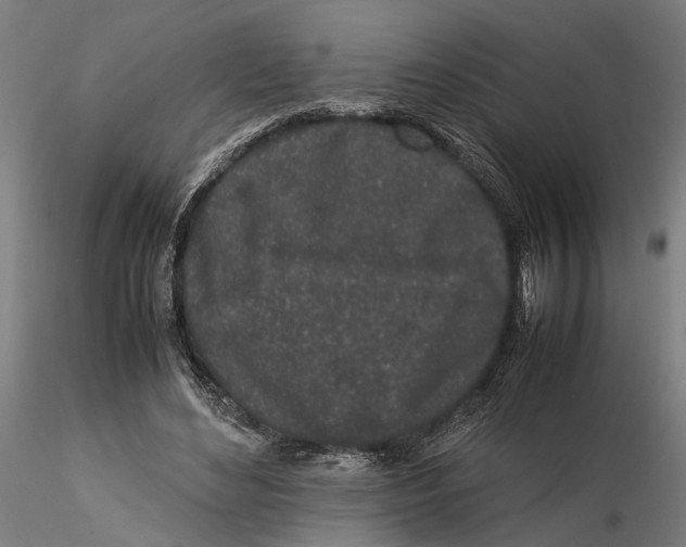 X0000115500492200912041041