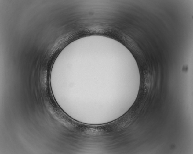 X0000115500494200912041041