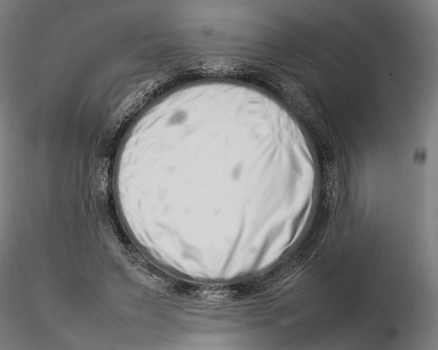 X0000115500495200912041041