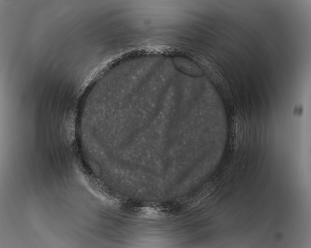 X0000115500496200912041041