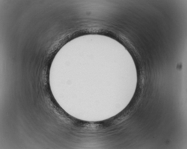 X0000115500497200912041041