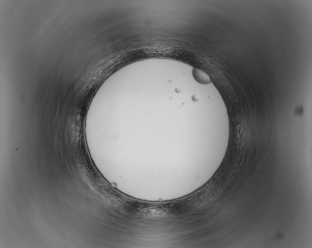 X0000115500498200912041041