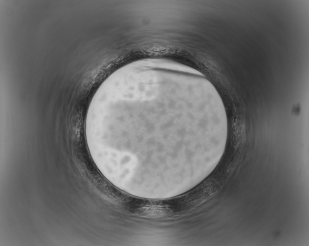 X0000115500499200912041041