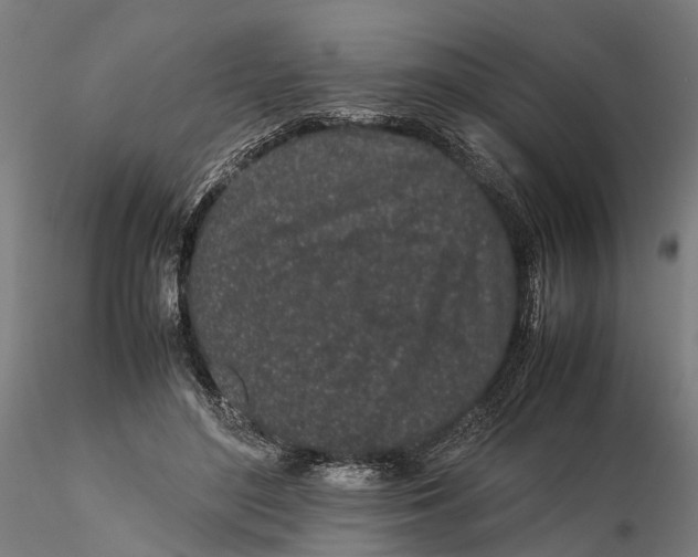 X0000115500500200912041041