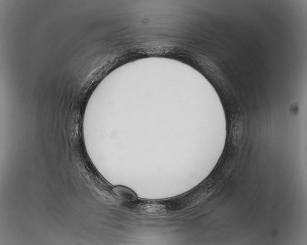 X0000115500501200912041041