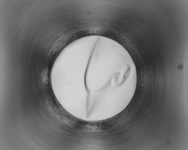 X0000115500502200912041041