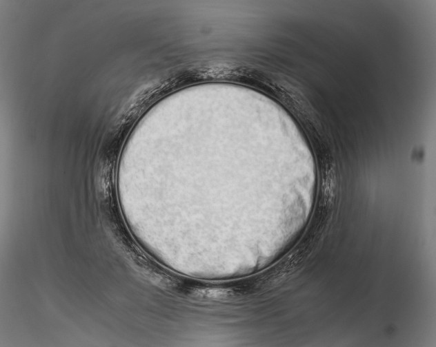 X0000115500503200912041041