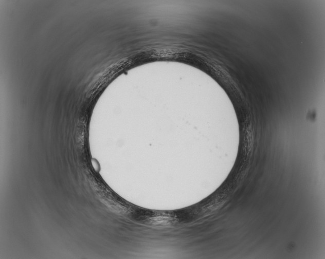 X0000115500505200912041041