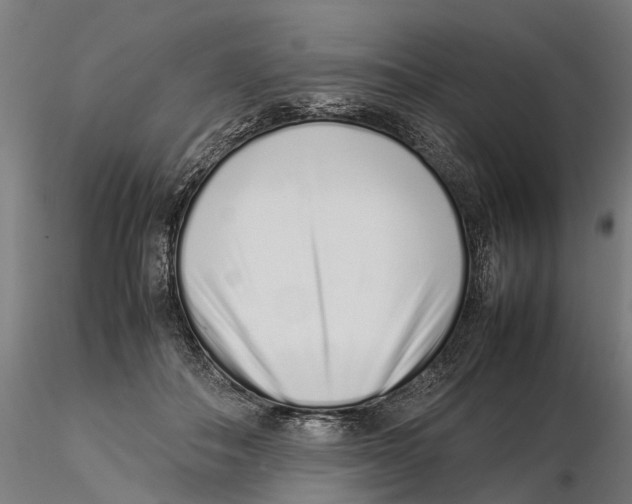 X0000115500506200912041041
