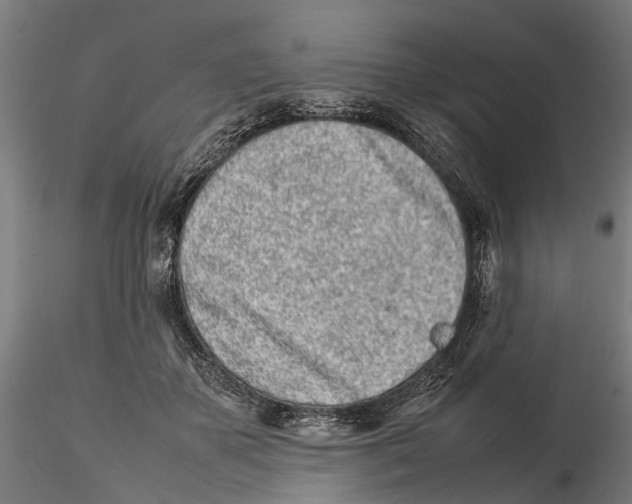 X0000115500507200912041041