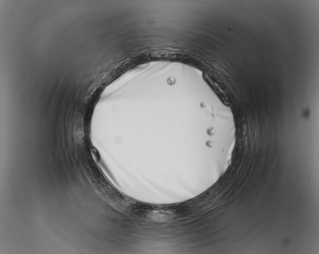 X0000115500508200912041041