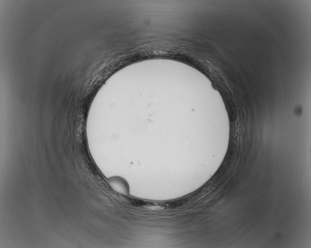 X0000115500509200912041041