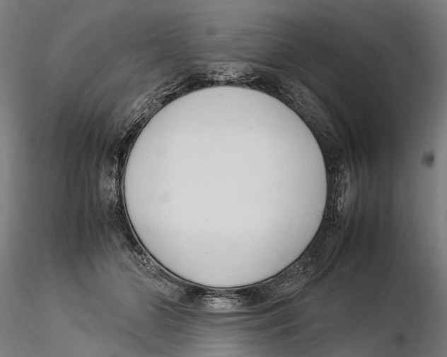 X0000115500510200912041041