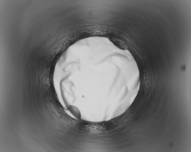 X0000115500512200912041041