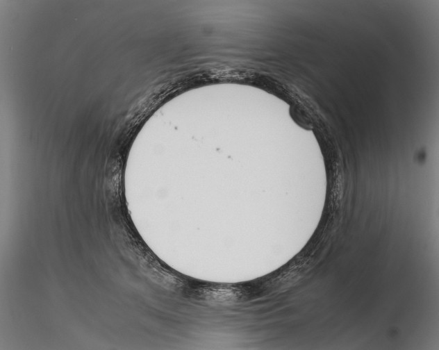 X0000115500513200912041041