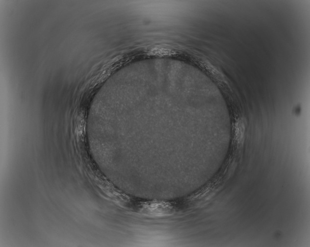 X0000115500517200912041041